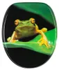 SANILO® WC-bril, kleur: groen (kikkergroen), direct van de Productafbeelding-voorbeeld 1