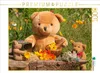 Calvendo Heilpflanzenbär 1000 Teile Puzzle quer 640x480mm, Produktbild-Vorschau 3