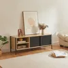 Szafka pod TV 'Tysnes' z 2 przesuwanymi drzwiami 120 x 40 x Podgląd zdjęcia produktu 1