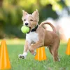 Relaxdays Pylonen 16er Set, Fußball, Hundetraining, Produktbild-Vorschau 5