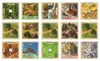 Asmodee Catan Rivals for, Gra karciana, 10 lat(a) Podgląd zdjęcia produktu 3