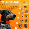 Collier de protection gonflable pour chien, 2 en 1, empêche Voir les images du produit 6
