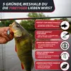 Paradox Fishing Firetiger Barsch Kombo Spinnrute 2,10m Produktbild-Vorschau 2