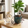 Spetebo - Vasi da interno in terracotta da 10 cm con tubo Anteprima dell’immagine prodotto 6
