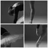 Bild auf Leinwand - Leinwandbild - Einteilig - Ballerina Produktbild-Vorschau 8