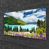 Acrylglasbilder 100x50 Wandbild Druck Gebirge Wald See Produktbild-Vorschau 2
