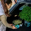 Organizer, tappi per bagagliaio, RATI NOOK - Verde Anteprima dell’immagine prodotto 8