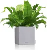 LECHUZA Pot de fleurs CANTO Stone 40 Low Beige sable | Pot Voir les images du produit 14