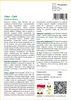SAFLAX - Liban - Cedr - 20 Nasiona - Cedrus libani Podgląd zdjęcia produktu 3