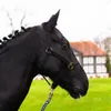 Halfter Fohlen Halfter für Mini Shetty Halfter für Produktbild-Vorschau 1