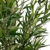 bümö plants Kunstpflanze Bambus (Bambusoideae) Produktbild-Vorschau 4