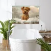 MuchoWow® - Leinwandbilder - Hund - Bad - Tiere - Produktbild-Vorschau 2