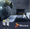 Câble Reagle Display Port vers HDMI DP DisplayPort 8K@60Hz Voir les images du produit 2