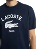 Lacoste Baumwoll-T-Shirt mit Signatur-Print, Blau L Produktbild-Vorschau 4