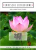 Lotus Samen winterhart (Nelumbo nucifera) - Indische Produktbild-Vorschau 7