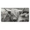 MuchoWow® Schreibtischunterlage Schottischer Highlander - Produktbild-Vorschau 1