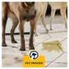 BISSELL PowerWash HydroSteam: Limpiador de alfombras y Vista previa de la imagen del producto 13
