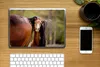 MuchoWow® Laptop Aufkleber Sticker Cover Pferde - Natur - Produktbild-Vorschau 2