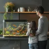 A father and daughter are looking at a fish tank in a modern kitchen. Produktbild-Vorschau
