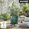 WAGNER® design yourself 20055801. Rodillo para plantas Vista previa de la imagen del producto 3