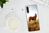MuchoWow® Handyhülle Schutzhülle Hülle für Samsung Galaxy Produktbild-Vorschau 6