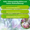 Purgrün Magnoliendünger 1 Liter, Produktbild-Vorschau 3