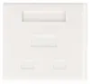 Goobay 2-port RJ45 Anschlussdose, CAT 6, STP, geschirmt, Produktbild-Vorschau 7