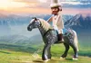PLAYMOBIL Princess 70449 Romantische Pferdekutsche Produktbild-Vorschau 8