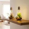 2er Set Sukkulenten Glühbirne Im Glas B x H: 8 x 19 cm LED Produktbild-Vorschau 3
