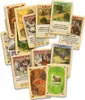 Gra stołowa Devir Catan Mini (ES) Podgląd zdjęcia produktu 4