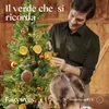 FairyTrees Albero di Natale Artificiale 220cm Bavarese Slim Anteprima dell’immagine prodotto 6