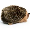 Igel Kuscheltier Braunbrustigel goldbraun 22 cm Plüsch Produktbild-Vorschau 4