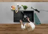 A person washing dishes in a kitchen sink. Náhľad obrázku produktu