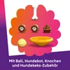 LEGO(R) FRIENDS 42665 Štěněcí hřiště Náhled obrázku produktu 36