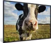 MuchoWow® MuchoWow® Gerahmtes Poster Kuh - Licht - Gras Produktbild-Vorschau 1