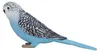 Mojo 387292 Animal Planet pappagallino blu circa 7,5 x 2 x Anteprima dell’immagine prodotto 3