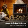 1 RM PREMIUM Buchen Brennholz | 25cm | kammergetrocknet | Produktbild-Vorschau 5