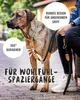 A dog on a leash being held by a person. Produktbild-Vorschau