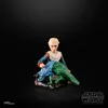Hasbro Disney Star Wars The Black Series: The Bad Batch - Náhled obrázku produktu 13