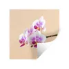 MuchoWow® Wandtattoo Wandsticker Wandaufkleber Weiße und Produktbild-Vorschau 1