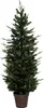 A full shot of a potted artificial Christmas tree. Podgląd zdjęcia produktu