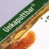 Unkaputtbar: Erstes Wissen: Im Wald Produktbild-Vorschau 5