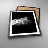 Gerahmtes Poster - Schwarzer Rahmen - Weiß Tiger Schwarz Produktbild-Vorschau 3