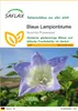 SAFLAX - Blaue Lampionblume - 100 Samen - Nicandra Produktbild-Vorschau 1