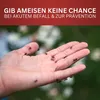 Ameisenspray – 1L Produktbild-Vorschau 5