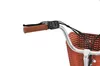F.lli Schiano Pieghevole 20" - E-Bike Pieghevole In Anteprima dell’immagine prodotto 3