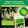 Purgrün Kirschlorbeer-Dünger 1 kg, Produktbild-Vorschau 4