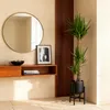 Green boutiQ - Zimmerpflanze - Yucca elephantipes - Yucca - Produktbild-Vorschau 4