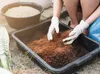 Włókno kokosowe Coco Peat 0-10mm 5l - Biovita Podgląd zdjęcia produktu 15