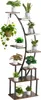 A multi-tiered plant stand with various potted plants displayed on its shelves. Produktbild-Vorschau